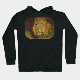 Quiet Contemplation.......... Hoodie